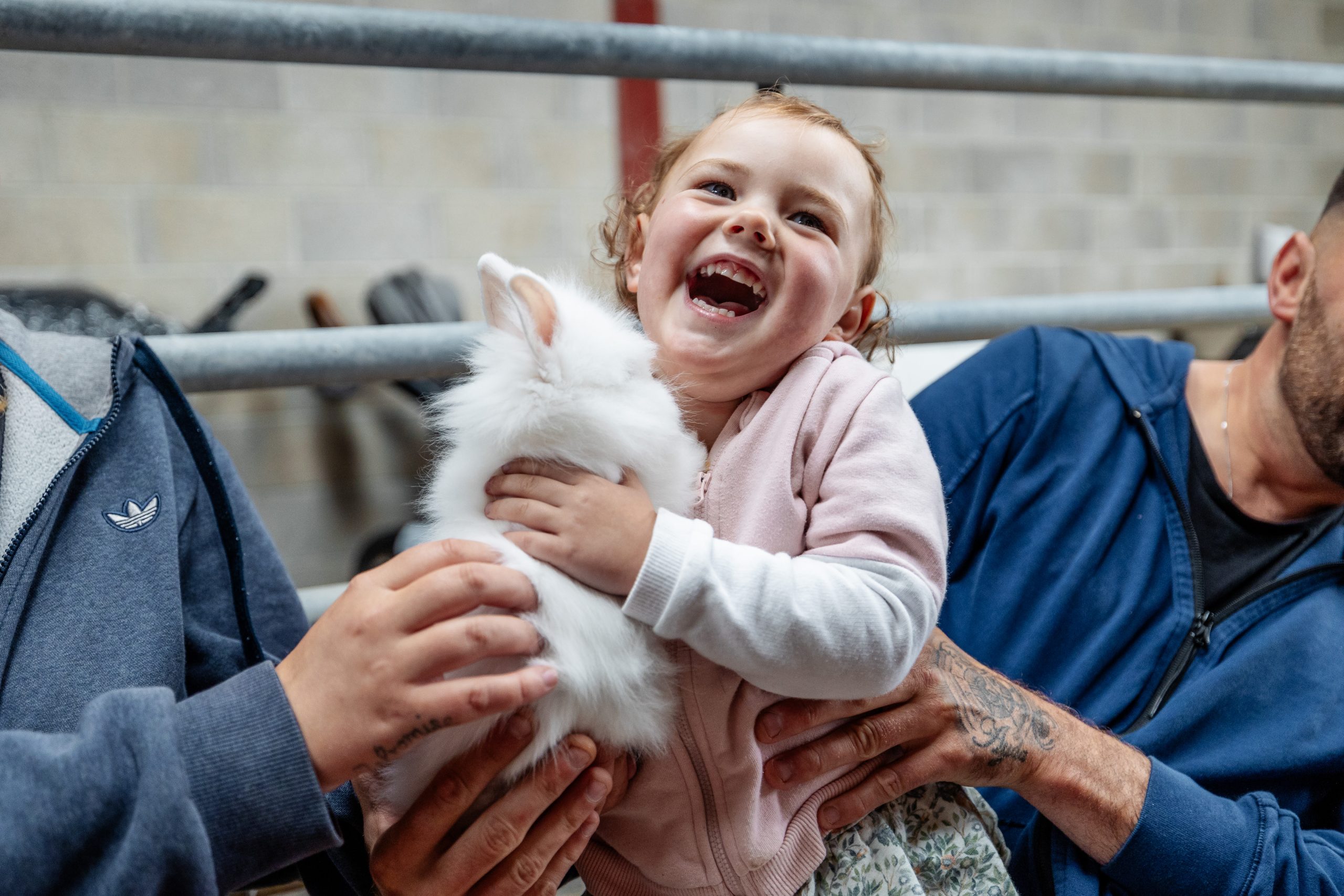 Young child cuddling a fluffy rabbit at Thornton Hall Country Park petting farm near Skipton