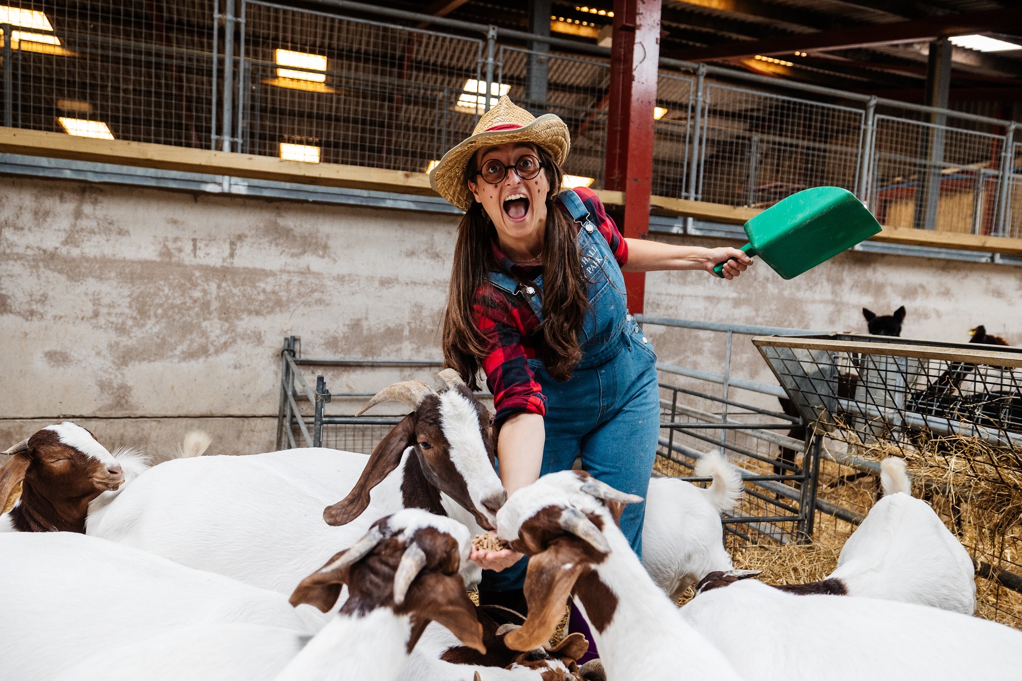 Staff feeding goats at Thornton Hall Country Park farm near Skipton with hands-on animal experience